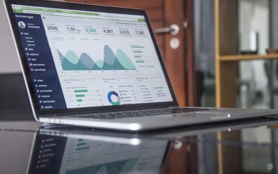 Vacature Online Marketing Stage